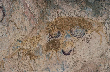 Wild Animals (cave painting)