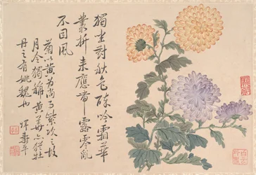Chrysanthemums (album leaf)