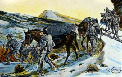 First World War: group of Italian Alpine hunters in recognition with their mules in 1915