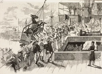 Mule is being heaved onto ship Principe Amedeo, Italian expedition in Red Sea, Italy, engraving from a drawing by Quinto Cenni and sketch by M Dal Don, from L