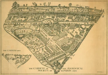 London Zoo, Regents Park, Westminster