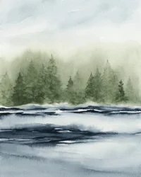 Misty Forest Lake