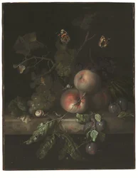 Peaches, grapes, and plums with a dragonfly, snail, caterpillar, moths, and other insects on a stone ledge