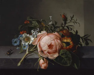 Still Life with Rose Branch, Beetle and Bee, 1741