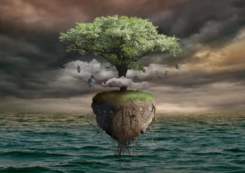 Floating Money Tree Island