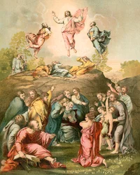 The Transfiguration