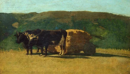 Black oxen pulling wagon