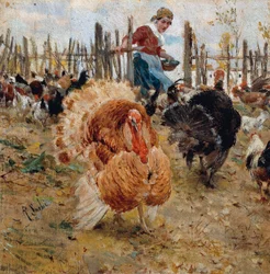 Meal of Turkey