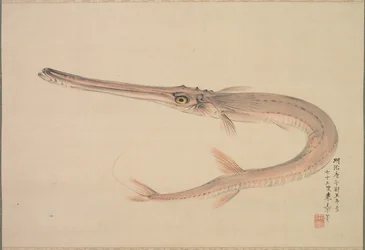 Needlefish Yagara