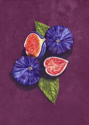 Figs Still Life