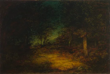 Wood Interior