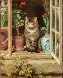 Blinking in the Sun, 1881
