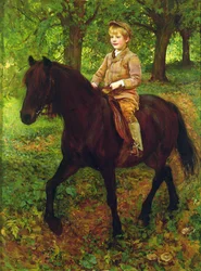Through the Woods