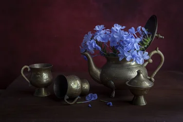 Antique Brass Blue Flowers