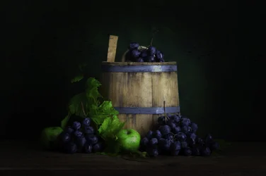 Harvest Grapes and Barrel