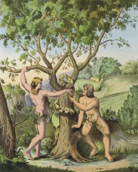 Eve Presenting the Apple from the Tree of the Knowledge of Good and Evil to Adam