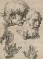 Studies of the Heads of Two Apostles and of Their Hands, 16th century