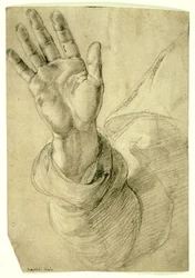 Upraised Right Hand, with Palm Facing Outward: Study for Saint Peter