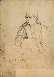 Quinto Curzio Rufo, Drawing by Raphael
