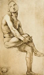 Study of a Human Figure