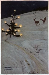 Christmas tree in the snow