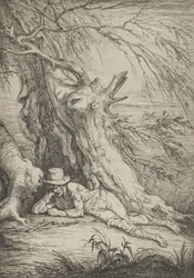 Bandit Beneath a Tree