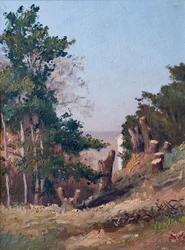 Cut trees, in the background, Gironde estuary