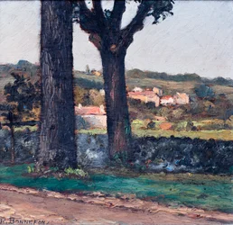 Two Trees in Front of a Wall