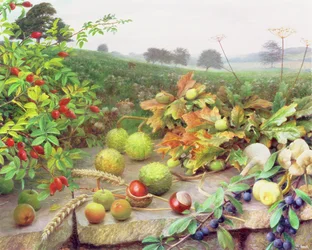 Gathering in the Wild Harvest