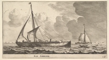 A Samoureus