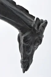 Large Giraffe with Lowered Head