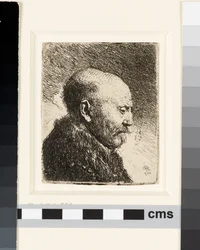 Bald headed man in profile right: Rembrandt