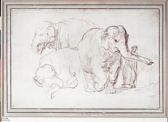 Three Elephants