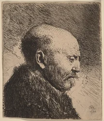 A Bald Man in Profile (The Artist