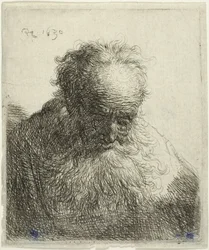 Bust of an Old Man with a Flowing Beard: The Head Bowed Forward: Left Shoulder Unshaded