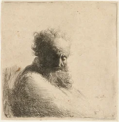 Bust of an Old Bearded Man, Looking Down
