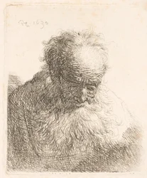 Bust of an Old Man with Flowing Beard