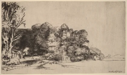 Clump of Trees with a Vista