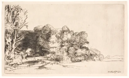 Clump of Trees with a Vista