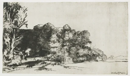Clump of Trees with a Vista