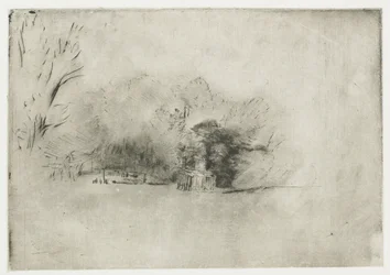 Farmhouse among Trees