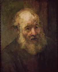 Head of an Old Man