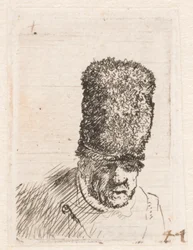 Head of an old man in a high fur cap