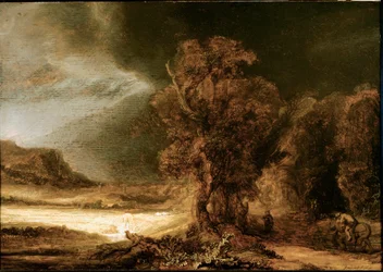 Landscape at the Good Samaritan