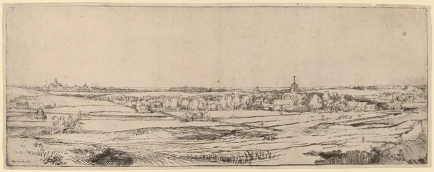 Landscape with a View toward Haarlem (The Goldweigher