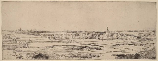 Landscape with a View toward Haarlem (The Goldweigher