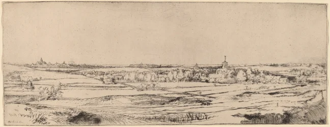 Landscape with a View toward Haarlem The Goldweigher