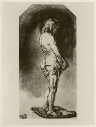 Male Nude