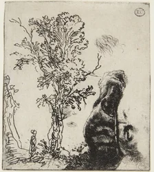 Sheet with Two Studies: A Tree and Self-Portrait