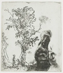 Study Sheet with a Tree, and the Upper Part of Rembrandt